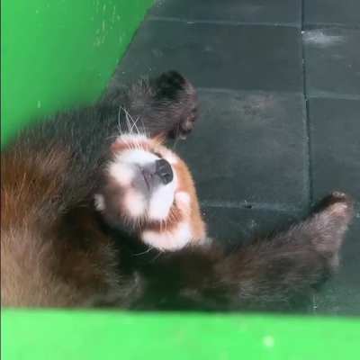 Oh big stretch!