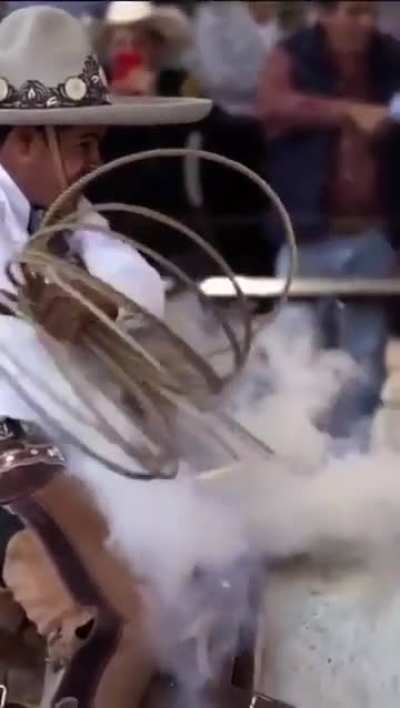 The smoke wow

