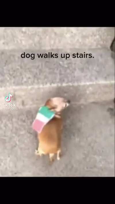 Kevin irl