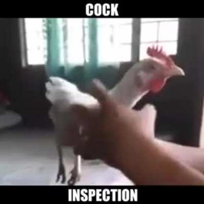 Inspección