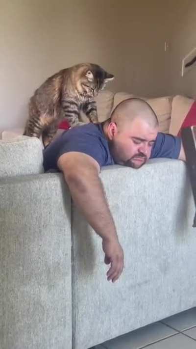 Massager Kitty