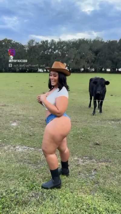 Thickums
