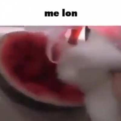 me lon
