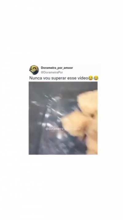 Ei ou