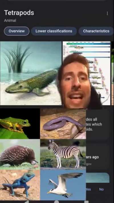 I was only a fish.