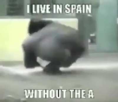 Without the 