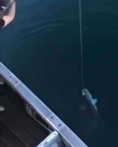 Thanks I hate fishing