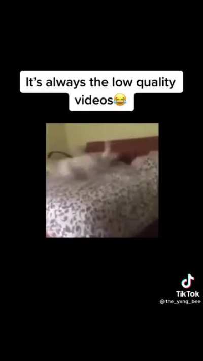 No-