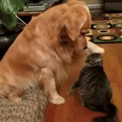 there there..