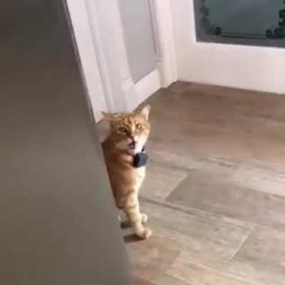 well Hello to you too