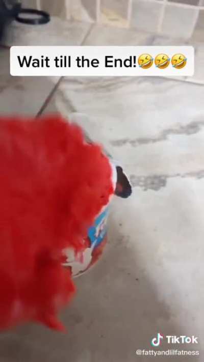 Rafiki got a bit carried away...