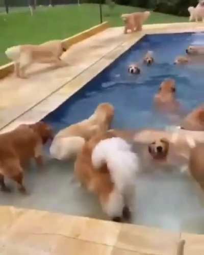 Swim Time