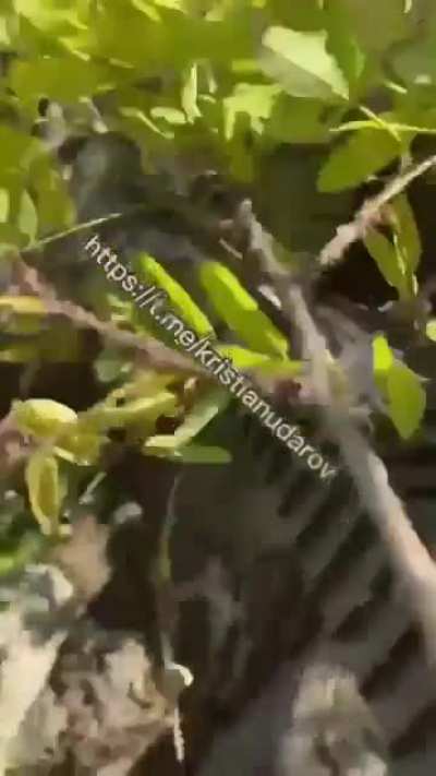 A week ago, Russian media reported on the destroyed Ukrainian landing force in Energodar. Then the propagandists published videos of killed Ukrainian fighters. The full video from the filming location has been released. There 