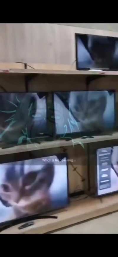 The voices