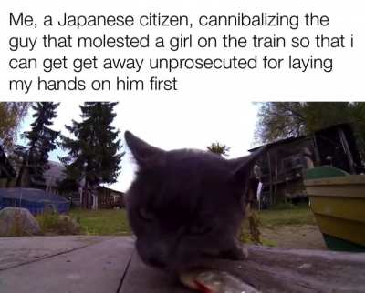 japenis law moment