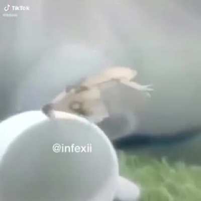 Shitpost at it's finest
