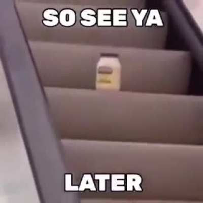 MAYO ON ESCALATOR