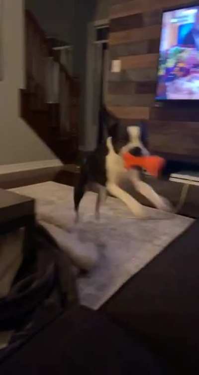 perfectlycutsqueeks