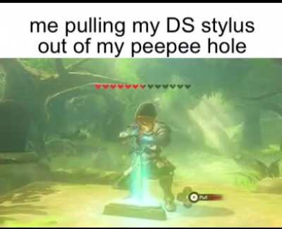 MOM NO DONT TAKE AWAY MY DS NO PLEASE