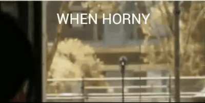 *Flies away*