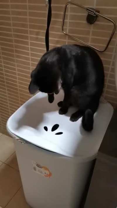 I won't let you escape, brother