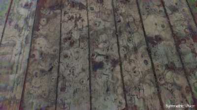 Getting Sidetracked By Old Wooden Floor On Cactus Juice