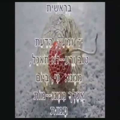 Kumvta Yule anayesoma