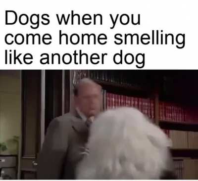Where the hell have you been?!