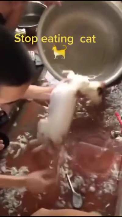 Любит<wbr>елям котиков NSFW