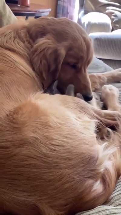 So adorable 😭❤️
