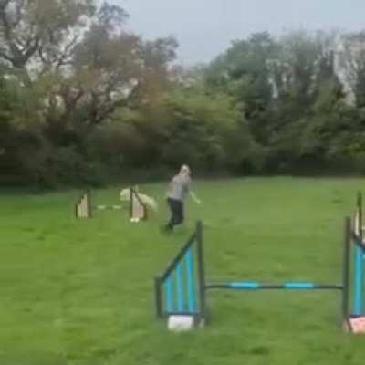 Training a Golden Retriever.. 😂 Wait for it..