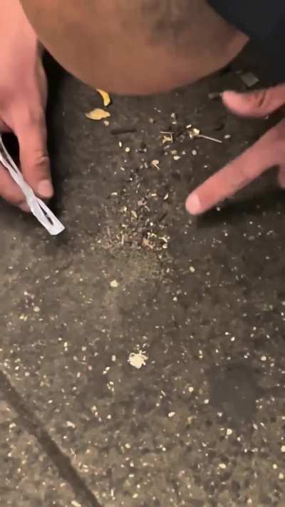 Do you think he found his rock?