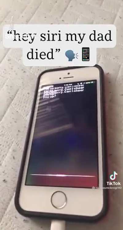 Siri jokes...