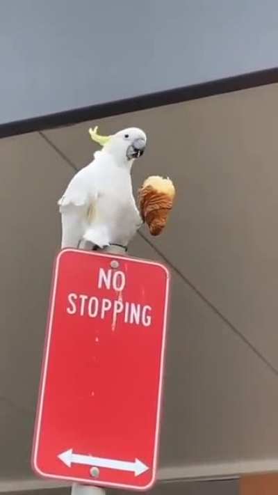 hmm