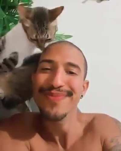 Lovely licks...
