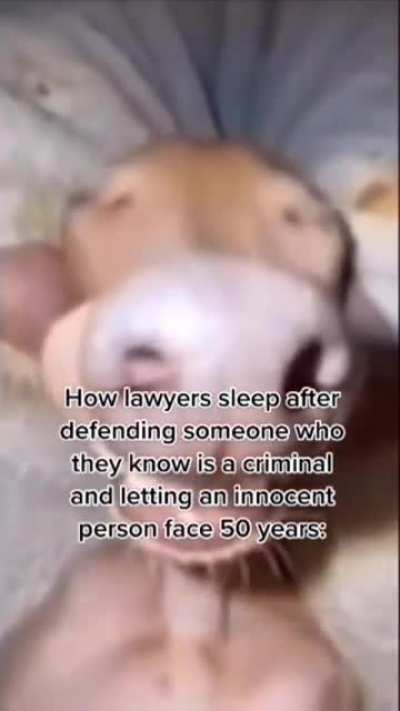 moldy justice