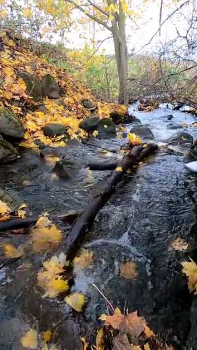 Autumn Fall and River sounds