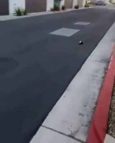 aa-