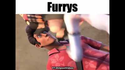 Simplemente Furrys