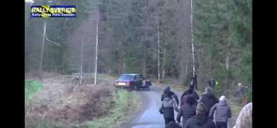 Volvo 2 - Tree 0