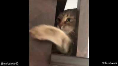 The moment he realises he is stuck