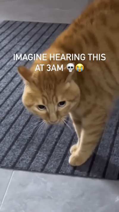 Cats are the gatekeepers. They protect you from the Spiritual Realm 😅