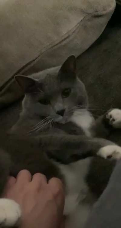 The belly is always a trap