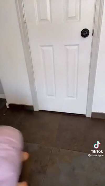 443k likes in TikTok, damn am I the only one who cringed at this?