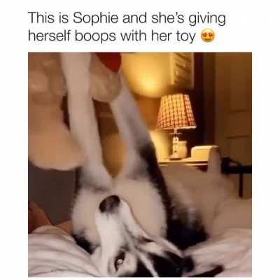 Sophie is perfect