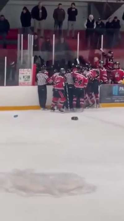 Going to a hockey player's bench to start a fight