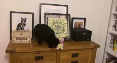Furby dies