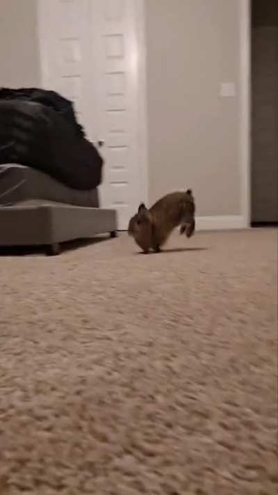 Two binkies!