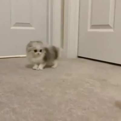 Fluffy angels