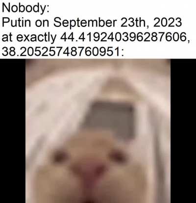 funi cat explosion